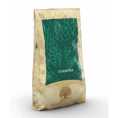 Croquettes chien STAMINA 10 KG ESSENTIAL FOODS