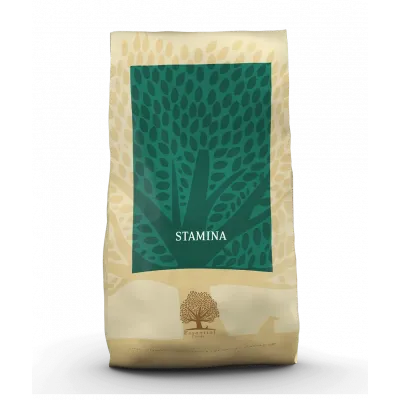 Croquettes chien STAMINA 10 KG ESSENTIAL FOODS