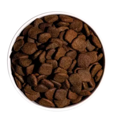 OWNAT GRAIN FREE HYPO SAUMON - Croquettes pour chiens