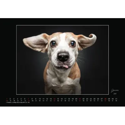 Wall Calendar tongueouteveryday 2024