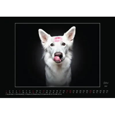 Wall Calendar tongueouteveryday 2024