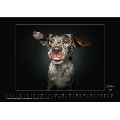 Wall Calendar tongueouteveryday 2024