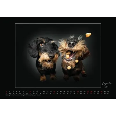 Wall Calendar - Dogs Catching Treats 2024