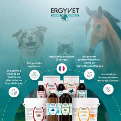 Ergyvet Senior 100 ml