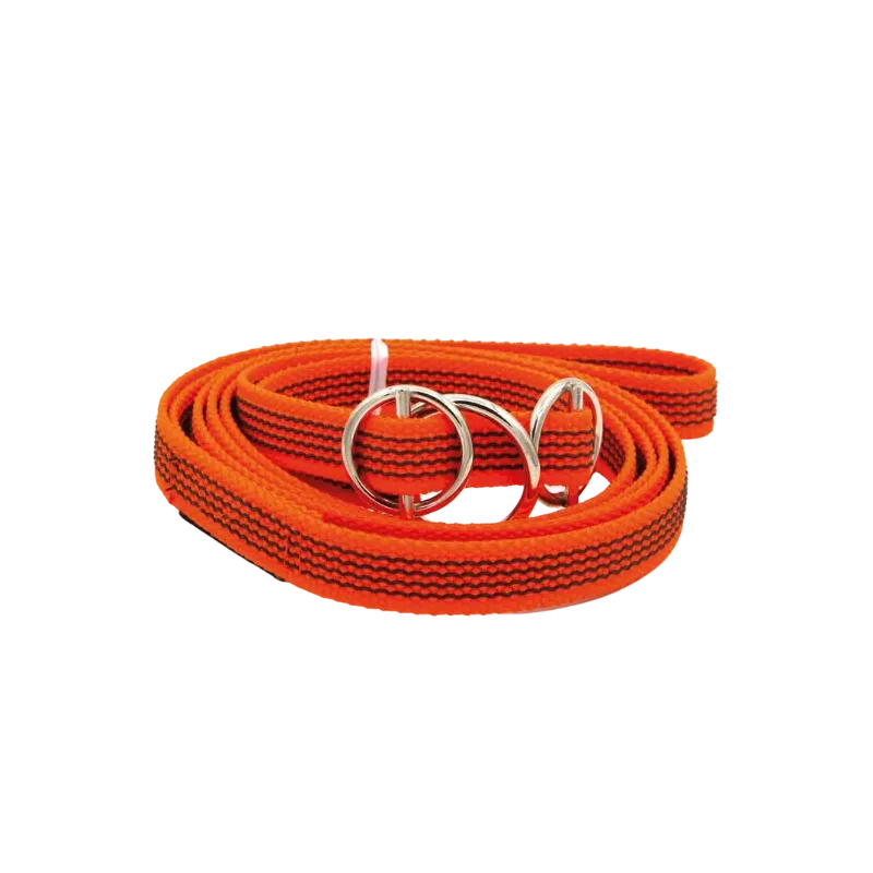 LAISSE LASSO GOMME LONGUEUR 1,6 M