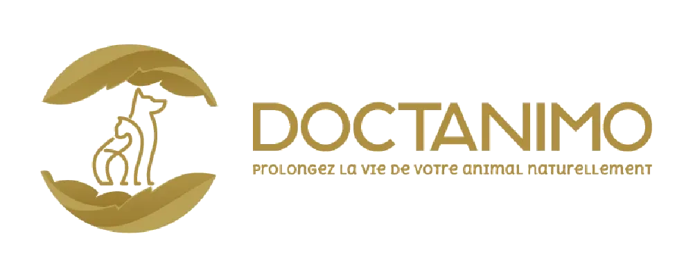 Doctanimo